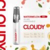 Cloudy 鴨嘴獸一次性-西瓜 【Cloudy 鴨嘴獸一次性】陶瓷芯8ml 500mAh續航 16款爆款口味🔥