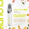 Cloudy 鴨嘴獸一次性-鳳梨 【Cloudy 鴨嘴獸一次性】陶瓷芯8ml 500mAh續航 16款爆款口味🔥